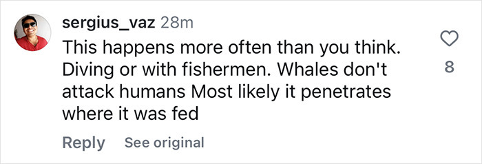 Instagram comment discussing whale encounters and human safety.
