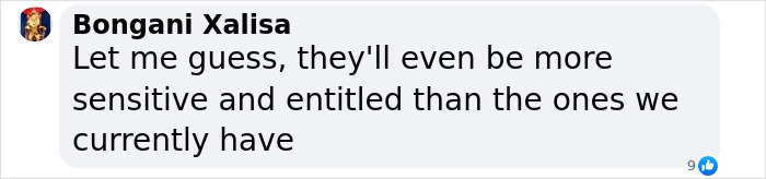 Comment about Generation Beta's traits by user, discussing sensitivity and entitlement.