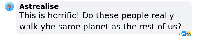 Comment expressing shock over the actions of bullies, questioning human empathy.