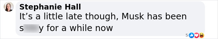 Comment from Stephanie Hall about Musk amid controversy.