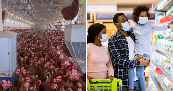 Health Experts Urge Immediate Preparedness As Bird Flu Reaches All 50 States