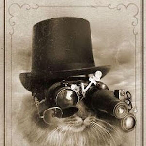 lorireesegeewhiskerz avatar
