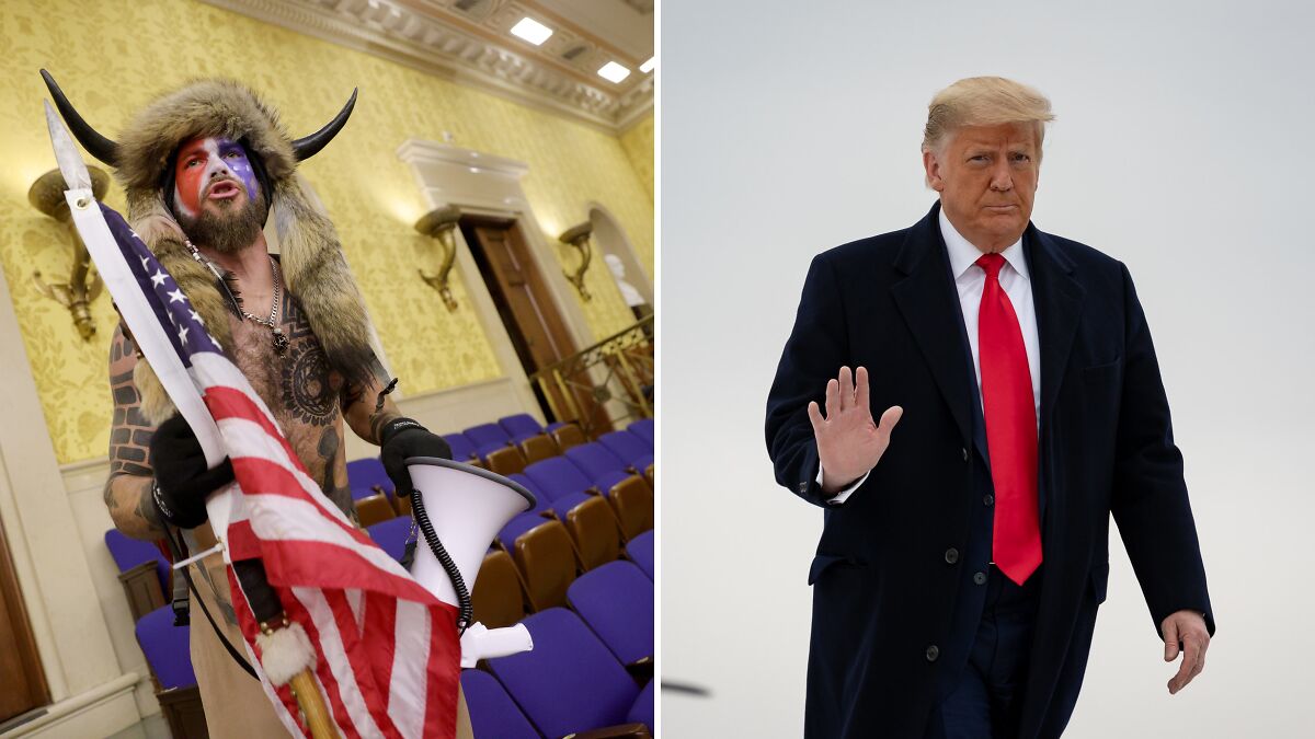 QAnon Shaman wearing horned fur hat holding flag, and Donald Trump in black coat with red tie waving.