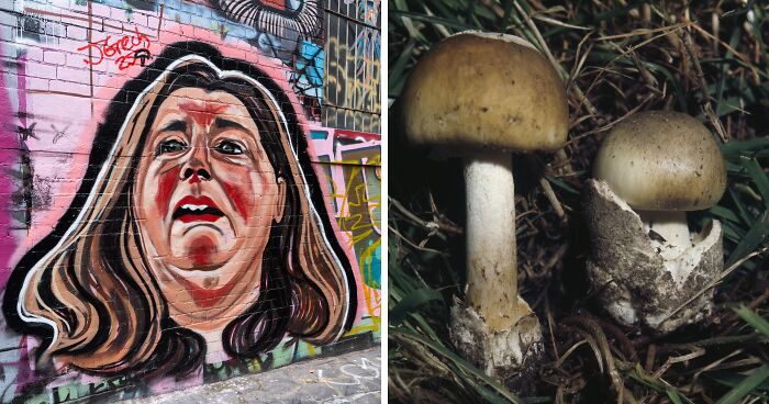 Guilty Verdict In Mushroom Poisoning Case—Jury Rules Erin Patterson Killed Relatives With Toxic Lunch