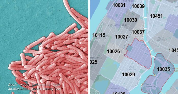 Two Dead And 58 People Sick After Legionnaires’ Disease Outbreak In New York City