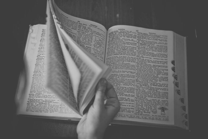 Person flipping through dictionary pages focusing on words like Skibidi, Delulu, Tradwife, Broligarchy in political context.