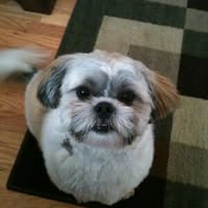 fletchcountry avatar