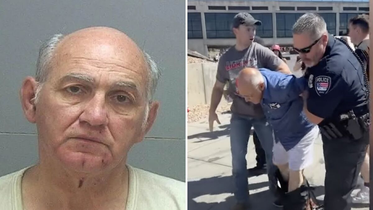 Mugshot and police arrest of man involved in gadfly incident with disturbing files found on his phone.