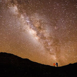 missannthrope avatar