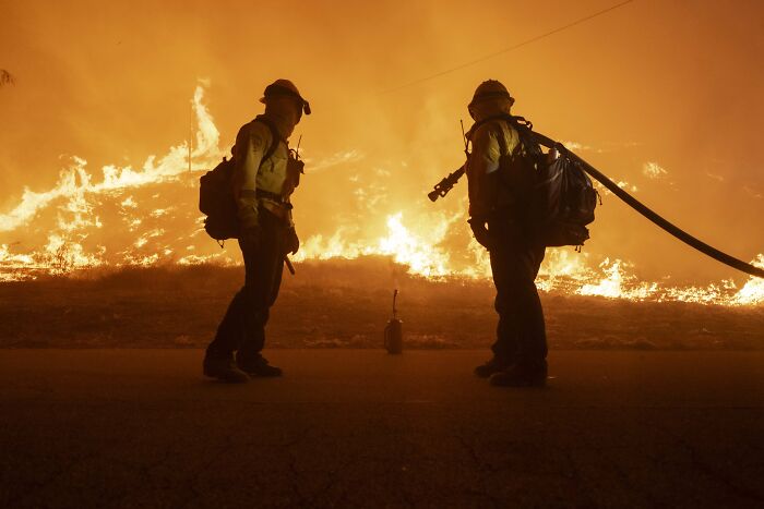 Fatal Blaze Busted By ChatGPT As AI Images Help Nab Suspect In Pacific Palisades Inferno