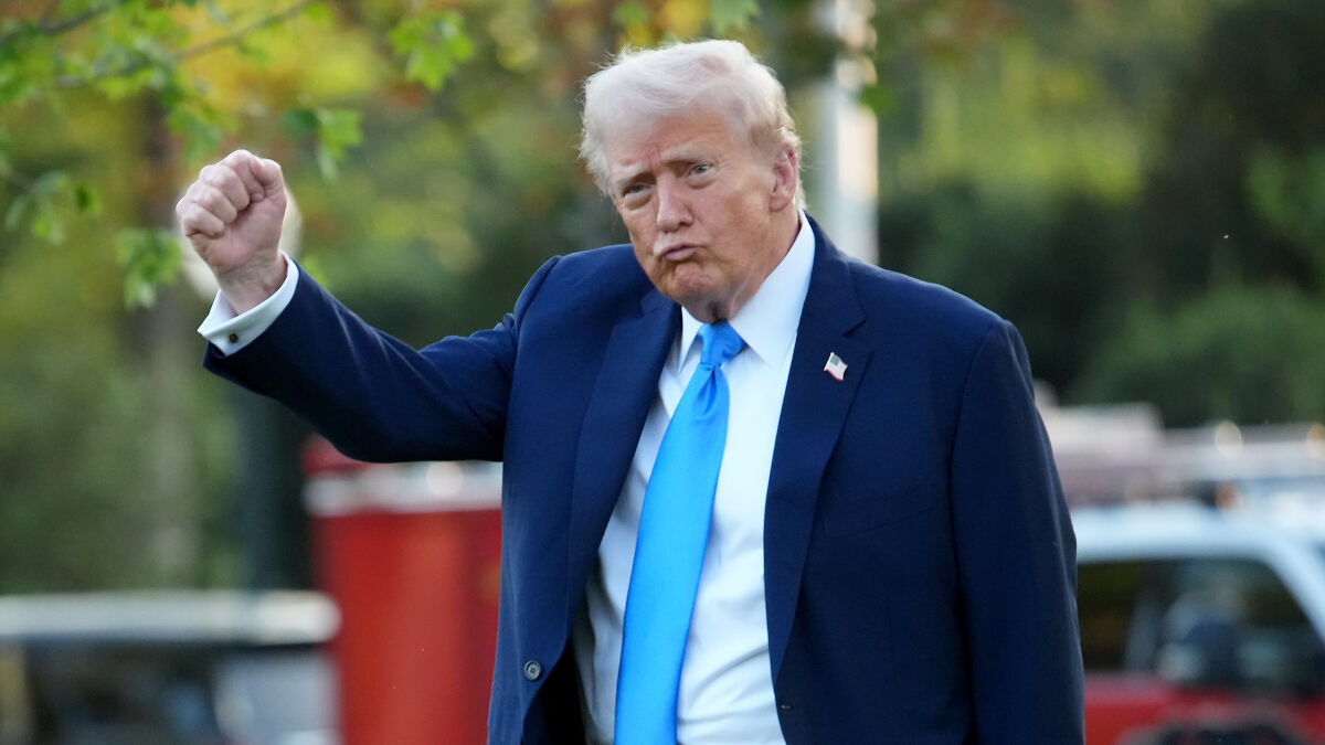 Former President Trump raising fist outdoors, linked to $2,000 payment plan from tariff revenue discussions.