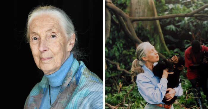 “Send Them Off”: Jane Goodall’s Posthumous Interview Goes Viral After She Slams 5 Public Figures