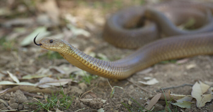 Dad Thought His Son, 11, Was Drinking Alcohol And Told Him To “Sleep It Off” — Then He Passed Away