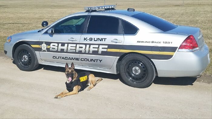 Outagamie County sheriff K-9 unit car parked on dirt road with police dog wearing sheriff vest lying in front