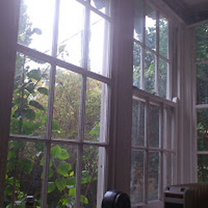 zigzagwanderer avatar