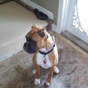 stevemichal2001 avatar