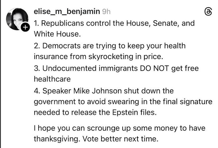 Screenshot of social media post criticizing MAGA son over mom needing SNAP to afford Thanksgiving with political points listed.