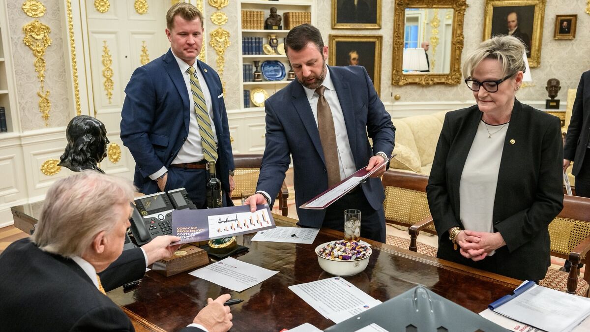 Trump in the Oval Office reviewing documents with aides while social media notices something quite bizarre.