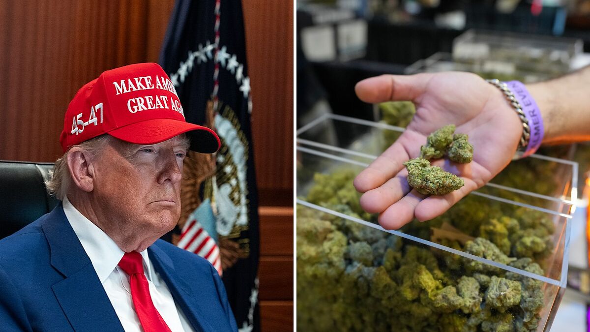 Former president wearing Make America Great Again hat next to a hand holding cannabis buds, highlighting government impact on income.