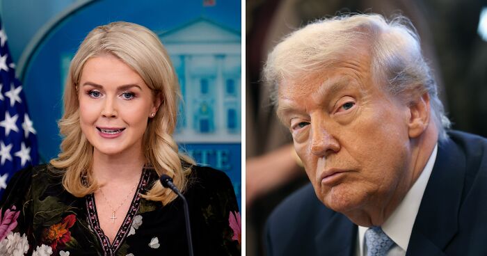 Karoline Leavitt Says Trump’s “Quiet, Piggy” Insult Proves He Is “Respectful” And “Honest”