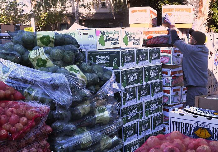 A man organizes boxes of fresh produce at a food distribution site, highlighting SNAP assistance for Thanksgiving needs.