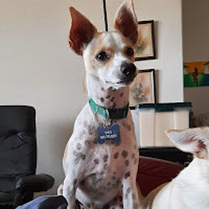 gregorygarcia avatar