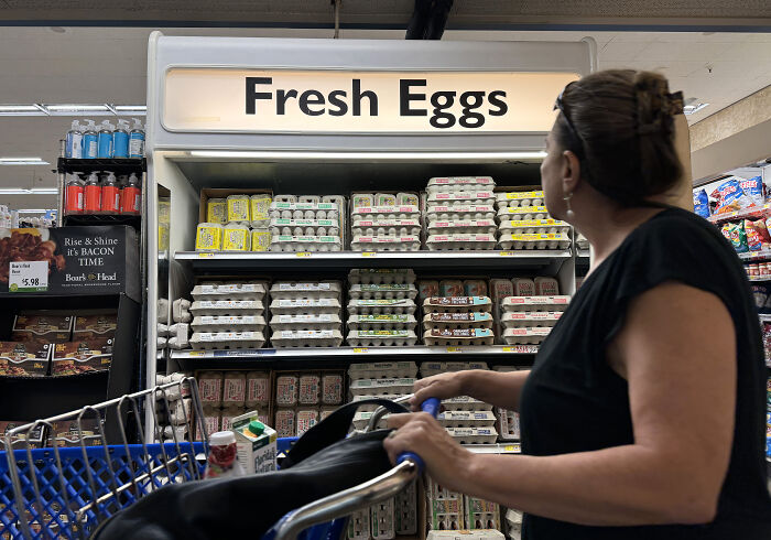 Woman with shopping cart looking at fresh eggs display in grocery store amid Trump gaslight claims on prime-time TV. Woman with shopping cart looking at fresh eggs display in grocery store amid Trump gaslight claims on prime-time TV.
