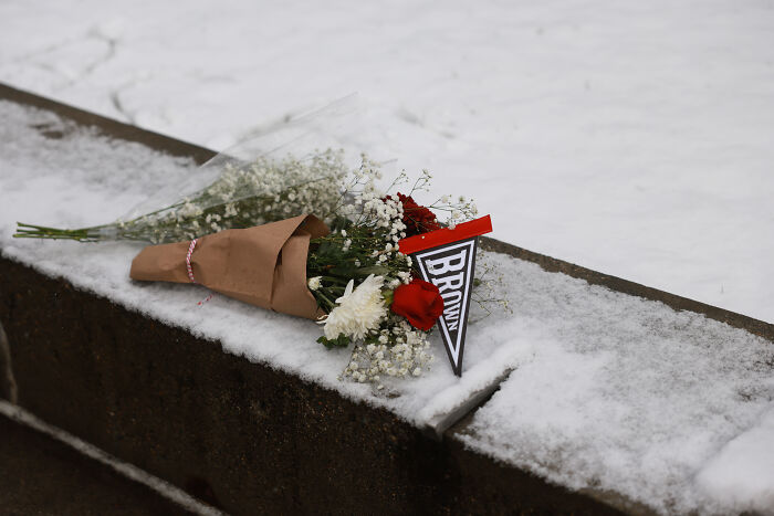 Bouquet of flowers on snow-covered ground, symbolizing remembrance after Australia tightens gun laws post shooting. Bouquet of flowers on snow-covered ground, symbolizing remembrance after Australia tightens gun laws post shooting.