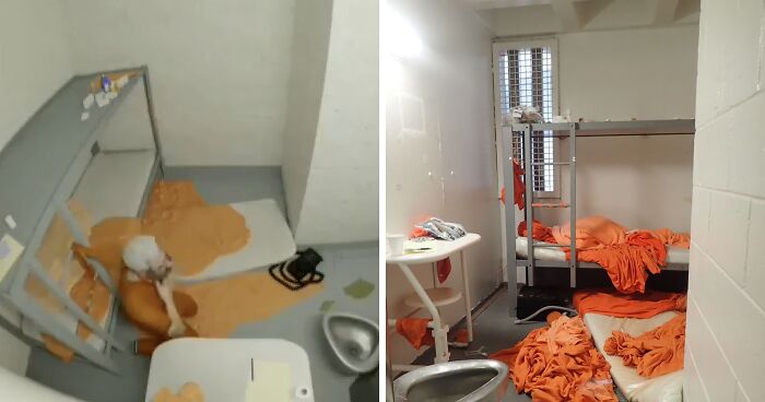 Justice Department Releases Shocking Fake Video Of Epstein Taking His Own Life