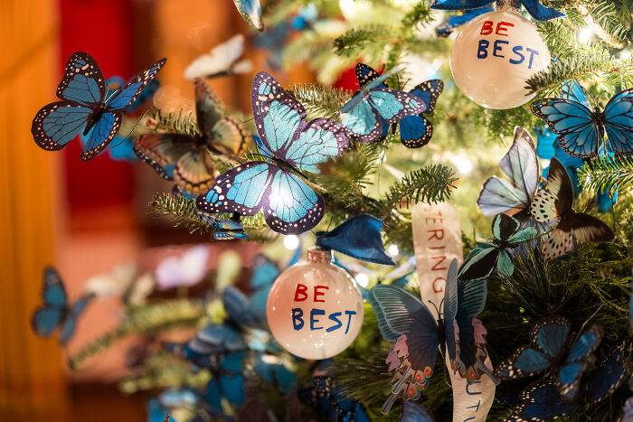 Christmas decorations featuring blue butterflies and ornaments on a tree, highlighting Melania Trump’s 2025 holiday style.