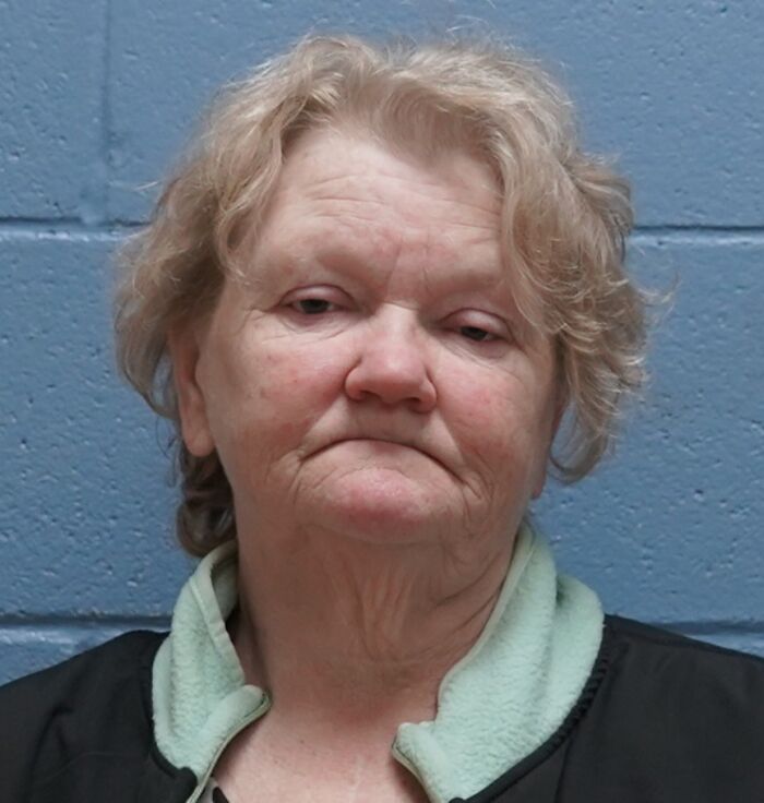 Middle-aged person against a blue wall, related to 3 people arrested after 29 deceased dogs found during tradesman call-out.