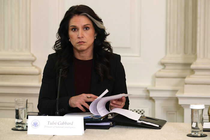 Tulsi Gabbard reviewing documents at a government meeting, with a nameplate in front of her and papers in hand.