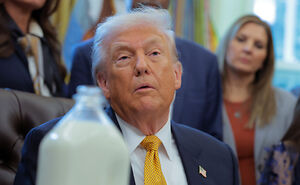 “We Have a Toddler for President”: Trump Roasted After Explaining How to Spell “Whole Milk”