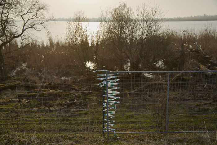 Fence and marsh at dusk with ribbons on gate, somber scene for honour-motivated homicide coverage