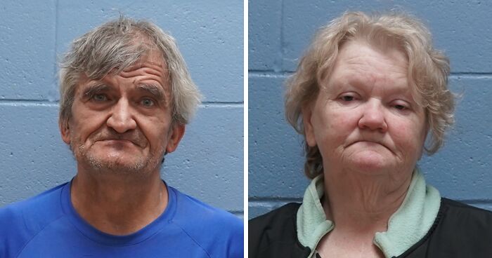 3 People Arrested After 29 Deceased Dogs Found By Distressed Tradesman During Callout