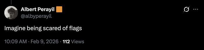 Screenshot of a social media post reacting to Laura Loomer with a critical comment on flags and views count visible.